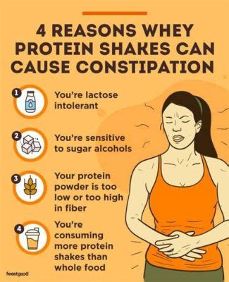 Can Protein Give You Gas? Exploring the Digestive Symphony of High-Protein Diets