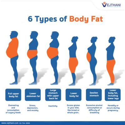 Explain the Difference Between Essential Body Fat and Storage Body Fat: A Journey Through the Layers of Human Physiology