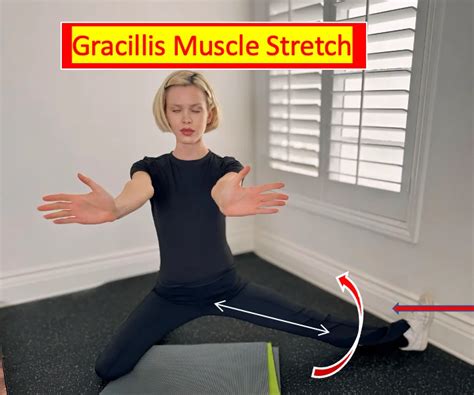 How to Stretch Gracilis Muscle: Unraveling the Mystery of Inner Thigh Flexibility