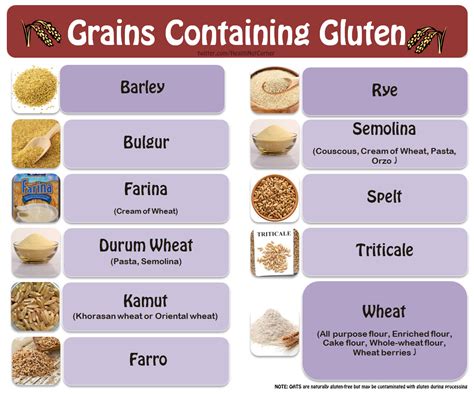 Is There Gluten in Whey Protein? Exploring the Connection Between Dairy and Gluten